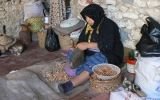Conoce las propiedades del argán, el aceite ancestral de las mil virtudes