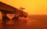 Australia: ola de calor intensificará incendios forestales