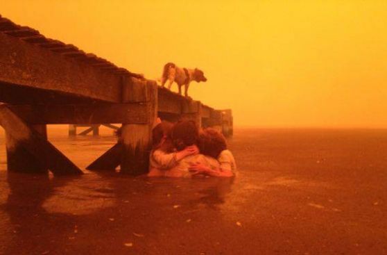 Australia: ola de calor intensificará incendios forestales