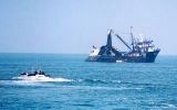 INEI: Producción pesquera creció 75,31% en noviembre