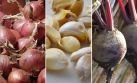 Desde cebolla hasta legumbres: los comprobados antigripales naturales