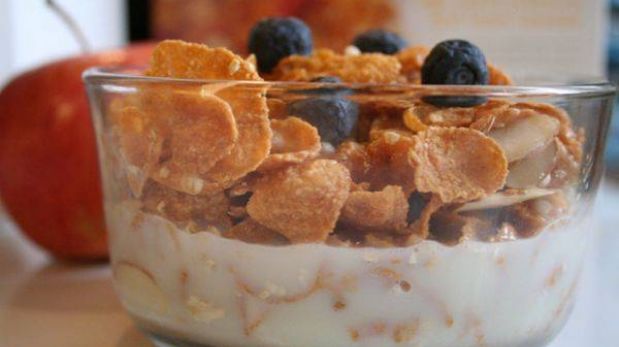 YOGUR GLORIA yogur gloria: