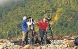 Prom-Perú: 'Birdwatching' puede atraer a tres millones de turistas
