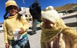 PCM aprobó plan para combatir las heladas y el friaje
