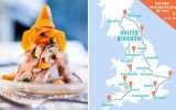 La comida peruana iniciará un tour por Reino Unido