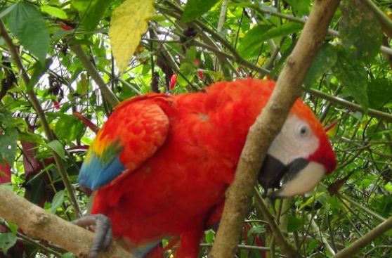 VIDEO: conoce las maravillas que Moyobamba ofrece a sus visitantes
