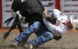 FOTOS: rodeo al aire libre y motos en el espectacular Calgary Stampede de Canadá