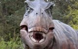 Tiranosaurio rex no solo comió carroña: también fue un cazador feroz