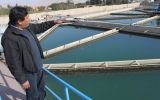 Tacna: pobladores consumen agua potable con niveles altos de arsénico