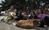 Costa Rica: miles marchan con sus mascotas contra el maltrato animal