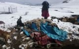 Nevadas en ocho provincias del país: estos son los daños que causaron