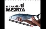 “El tamaño sí importa”, la guía básica para consumo de pescado que se reparte en Mistura