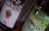 El Salvador reconoce al Perú como único productor de pisco