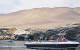 Paracas: vientos de vida en el litoral sur