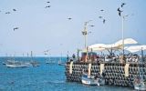 Aventura en el norte: opciones para disfrutar de la playa desde El Ñuro hasta Máncora