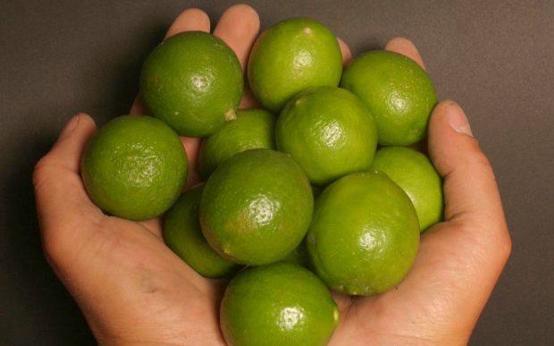 El precio del limón retrocedió en Lima y ya llegó a S/5 el kilo.