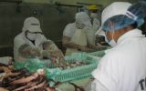 Exportaciones peruanas a China cayeron 7,5% hasta octubre