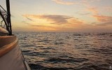 Palmerston: conoce una de las islas más remotas del mundo