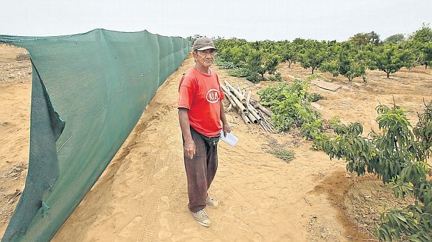 Melquiades Chumpitaz asegura que la Comunidad Campesina de Asia le arrebató su terreno para venderlo a inmobiliarias. (Miguel Bellido / El Comercio)