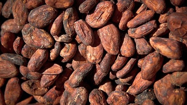 Exportación peruana de cacao crecería más de 8% este año
