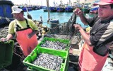 Poder Judicial suspendió Decreto 005 que reordena la pesca
