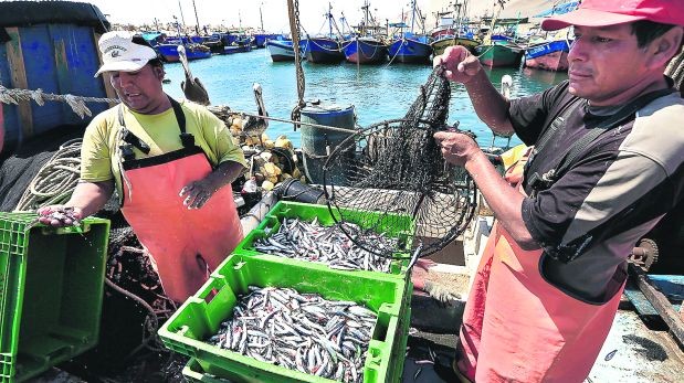 Algunos pescadores están esperanzados en hallar más recursos en el mar reconocido como peruano por La Haya. (Foto: Rolly Reyna / El Comercio)