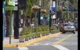 La riesgosa ciclovía de la Av. Larco en Miraflores