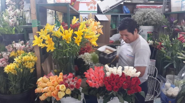 HOTEL LOS TULIPANES LIMA hotel los tulipanes lima: