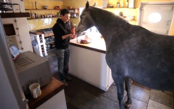 Stephanie Arndt vive junto a su caballo 'Nassar' desde diciembre del 2013. (Foto: Captura Youtube SHZ.DE)