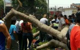 Parque Reducto: herido será operado por fractura en cadera