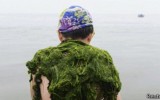 Las algas de la Patagonia como protagonistas de la cocina