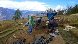 Invertirán más de S/. 8 millones para reforestación