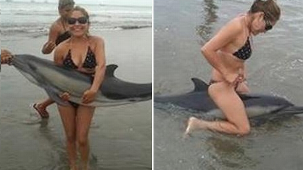 Modificaron sus cuentas en Facebook debido a que cientos de personas les reclamaron e insultaron por haber colgado las fotos con el delfín. (Fotos: Yousign.org).