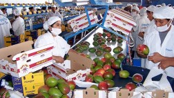 Exportaciones agropecuarias aumentaron 14% durante enero