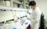 Se detectaría el Alzheimer tres años antes con prueba de sangre