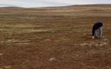 Huancavelica evalúa declarar en emergencia el agro por sequía