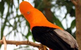 Vive la naturaleza en estos zoológicos de Sudamérica