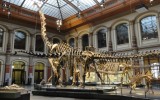 Siete lugares en el mundo para los amantes de los dinosaurios