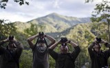 Juego de trinos: el avistamiento de aves en el Manu