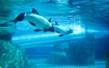 Disfruta de los cambios de clima en estos parques acuáticos