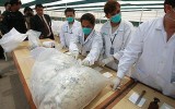 La economía de las drogas, por Iván Alonso