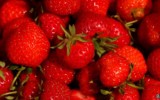Los alimentos que están en peligro de extinción