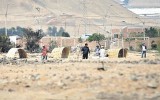Traficantes de tierras invaden fundo en la provincia de Cañete