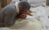 La ola del sake llega al Perú