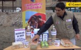 Semana Santa: ¿De camping a la playa? Mira estas sugerencias
