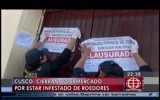 Cusco: clausuran supermercado infestado de ratas