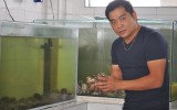Conoce la práctica de Ikezukuri: pez y mariscos vivos a la mesa