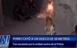 Policía rescató a perro que cayó dentro de un hoyo de 50 metros