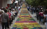Guatemala logra récord de la alfombra más grande del mundo