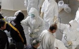 Japón: Evacuados de Fukushima debaten si vuelven a casa